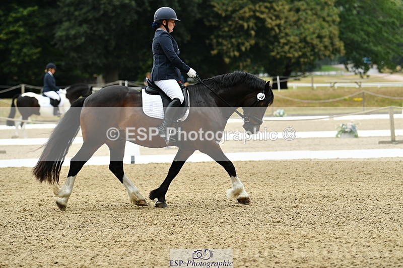 250718A-103301-00186 - 056-Emma.Murch-Gwynfaes.Llewelyn