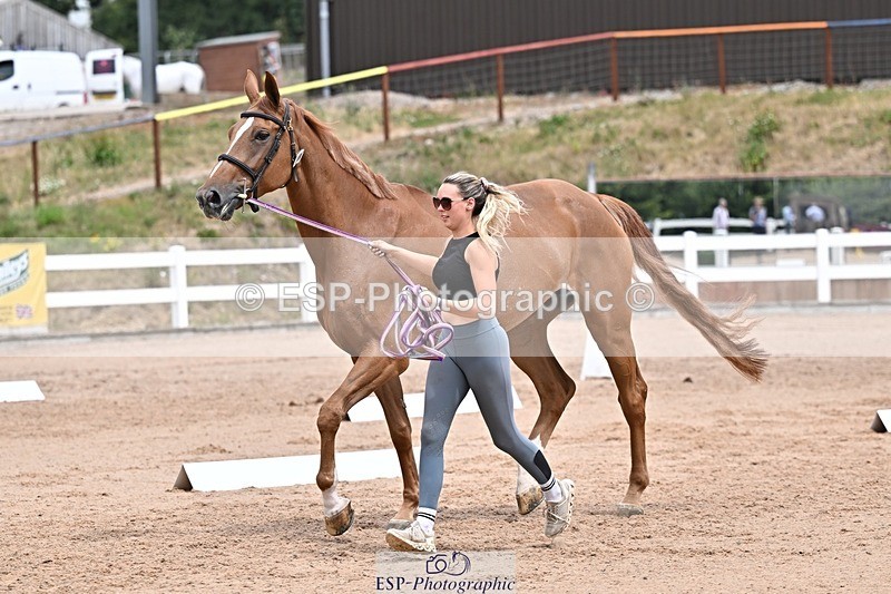 250716-133307-00565 - Trot Up 1.30 to 2.30