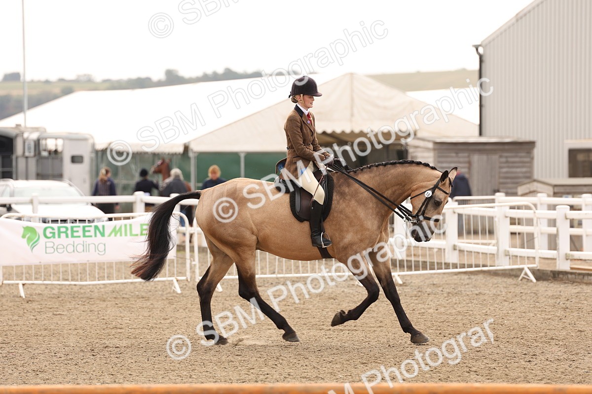 SBM_01584 - Class 52 - Ridden Veteran