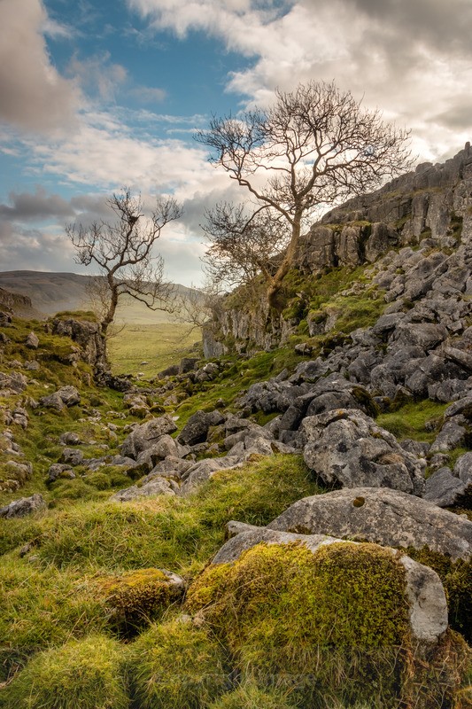 Hidden Combe - Portfolio