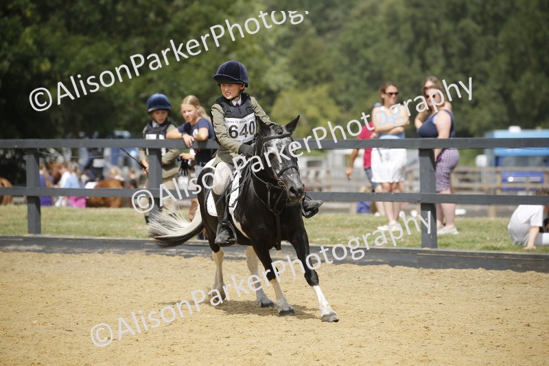 20250622-4054 - 50cm