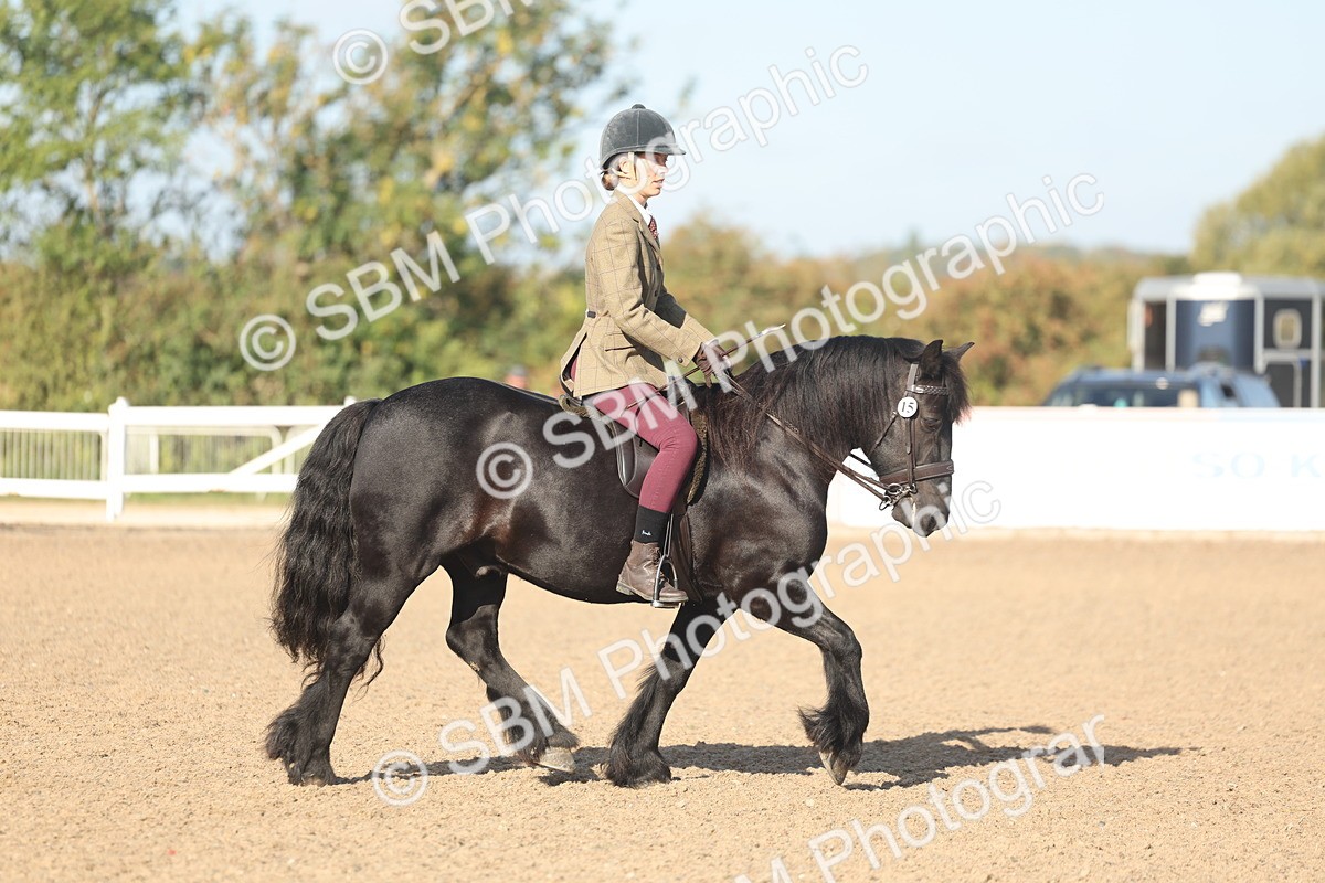 SBM_22171 - Class 802 - Ridden Groom Helpers Class