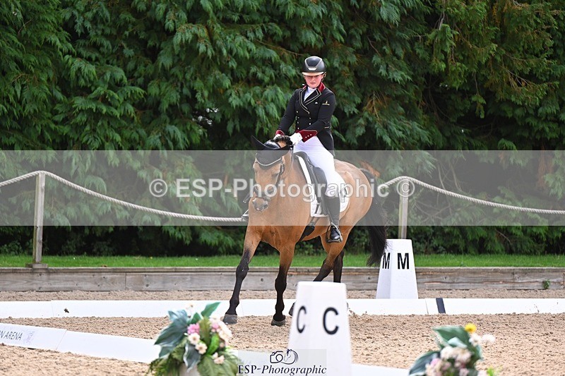 240809-104642-00390 - 173-Daisy.Winkle-Decandro.Hit.LDS