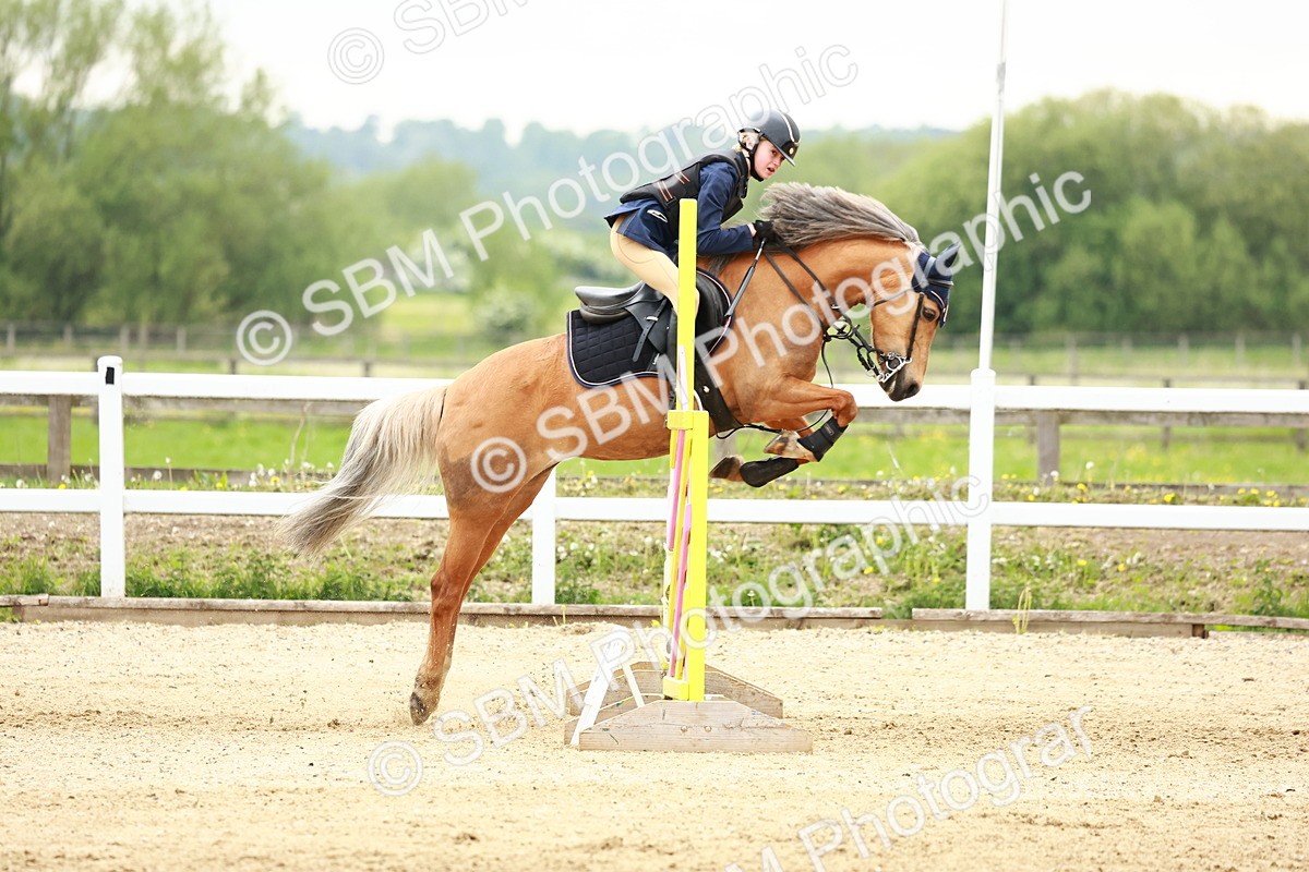 SBM_009109 - Class 5 - 80cm