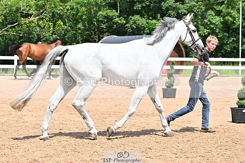 240718A-105313-01706 - Trot Up 1pm to 2pm