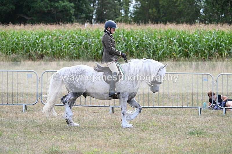 WJ7_5580 - Class 12 Ridden Cob