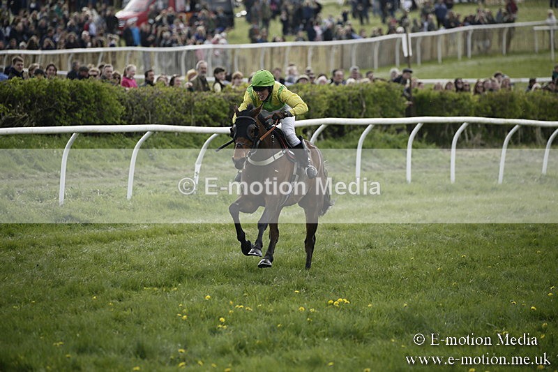 PtP 170417 356 - Old Berks Point-to-Point Lockinge 17/04/17