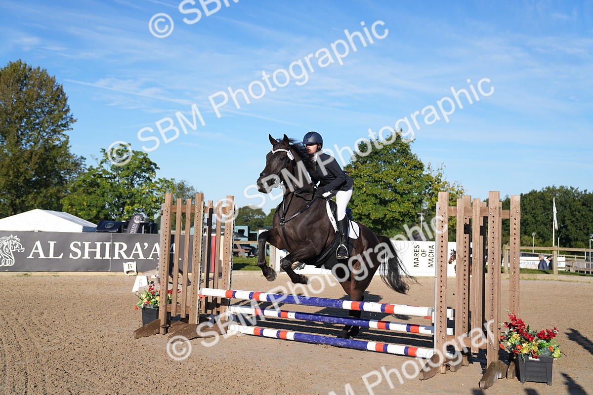 SBM_14057 - J59 - Clear Round - 65cm