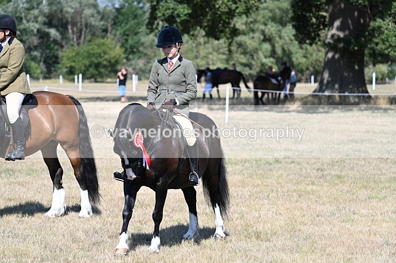 WJ7_4130 - Class 9 Mountain & Moorland Ridden