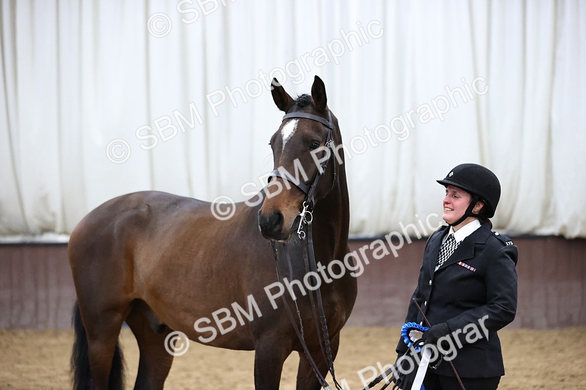 SBM_5787 - Class 3 - BSHA In Hand Show Hunter