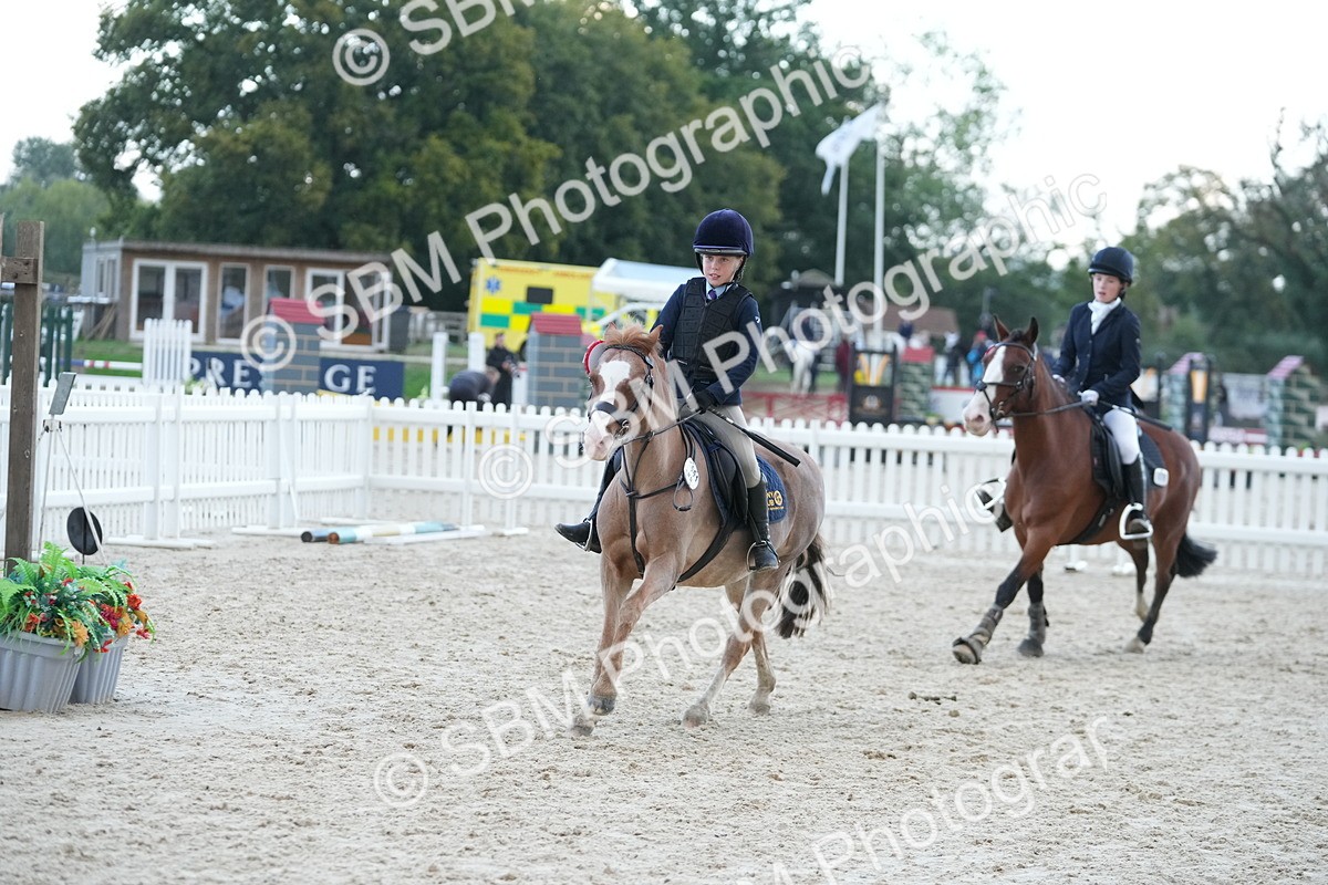 SBM_54271 - Supreme Championship 60cm 65cm