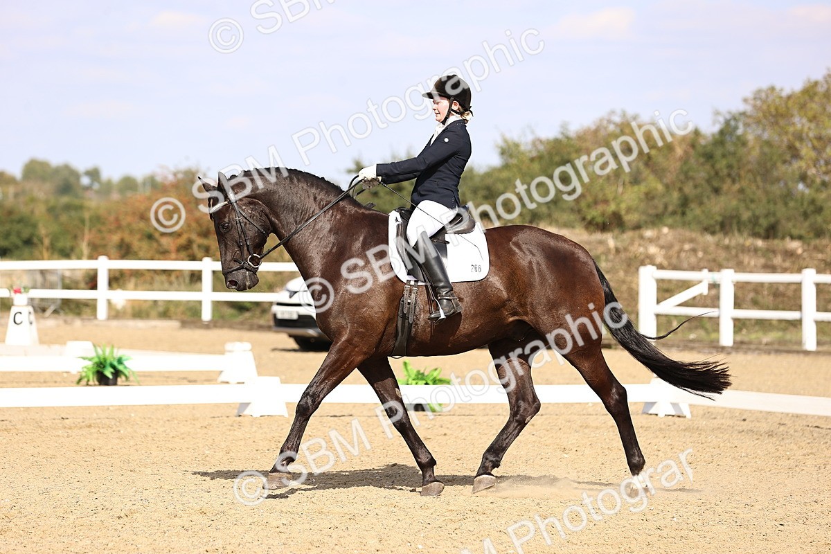 SBM_015220 - Class 8 - Medium 5