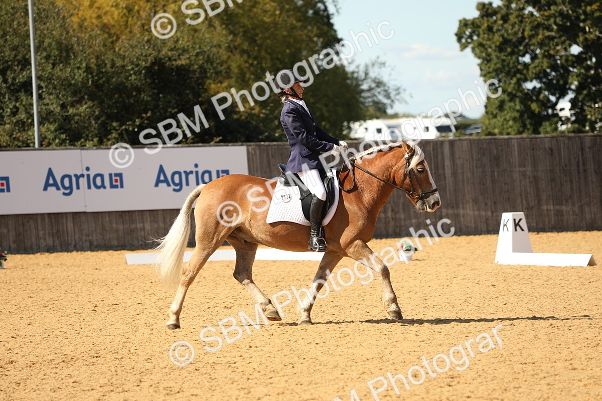 SBM_22403 - D17 - Grand Tour Championship - Novice 27