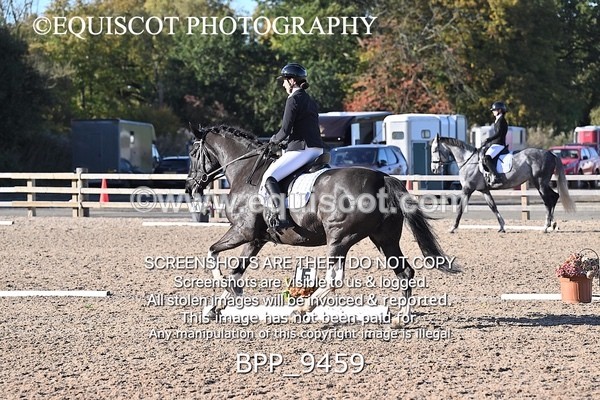 BPP_9459 - LONG ARENA