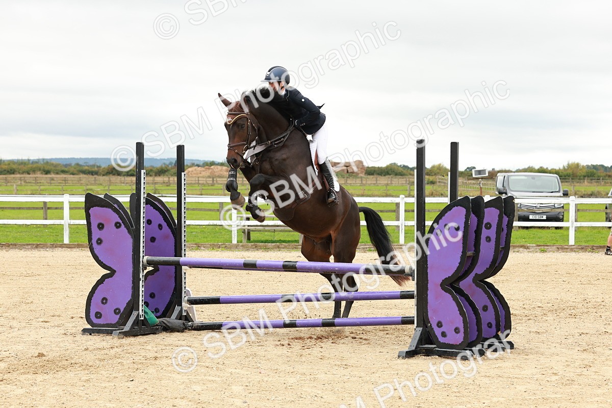 1I0A6823 - Class 2 - Senior British Novice