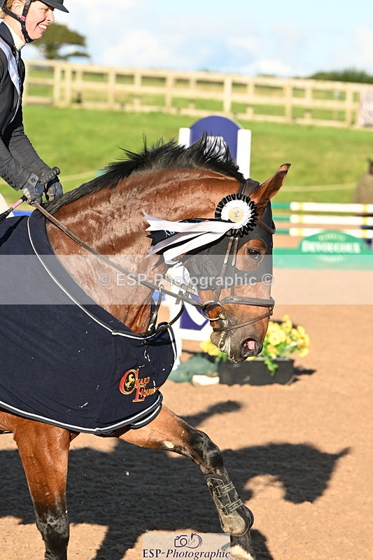 240912A-180543-02664 - Cls 7 Snr 90cm Open Speed Derby