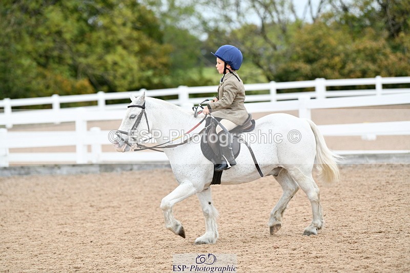 241013B-120326-00833 - Cls 2b 40cm