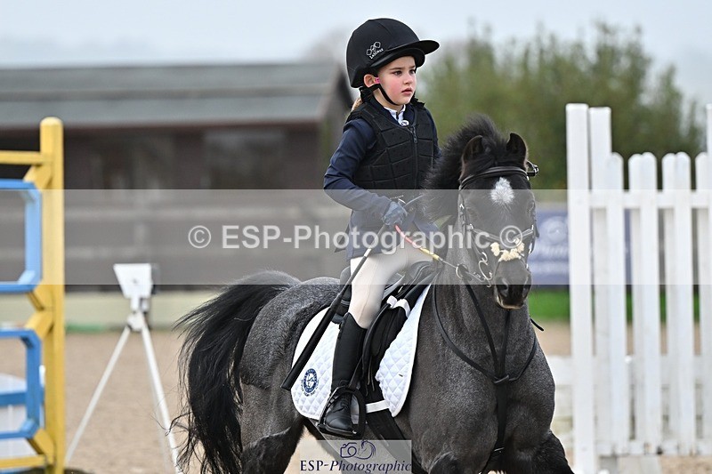 241110-095000-00090 - 40cm Showjumping