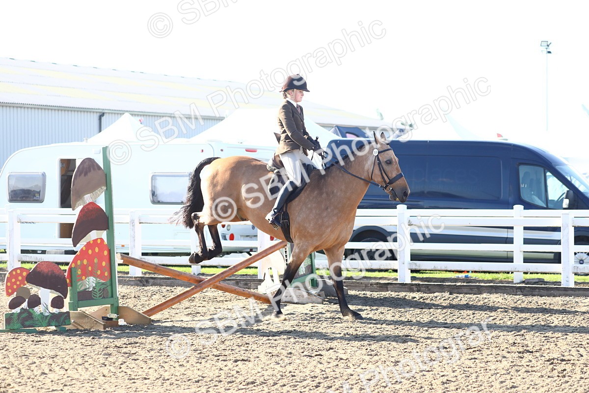 SBM_08568 - Class 502 - Riding Club Horse