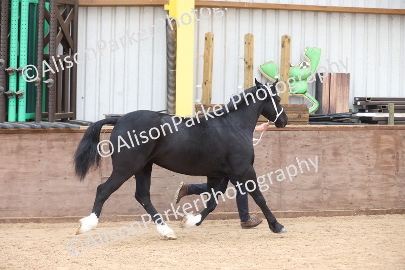 20251109-0912 - Class 26 - 2 and 4 Year Olds