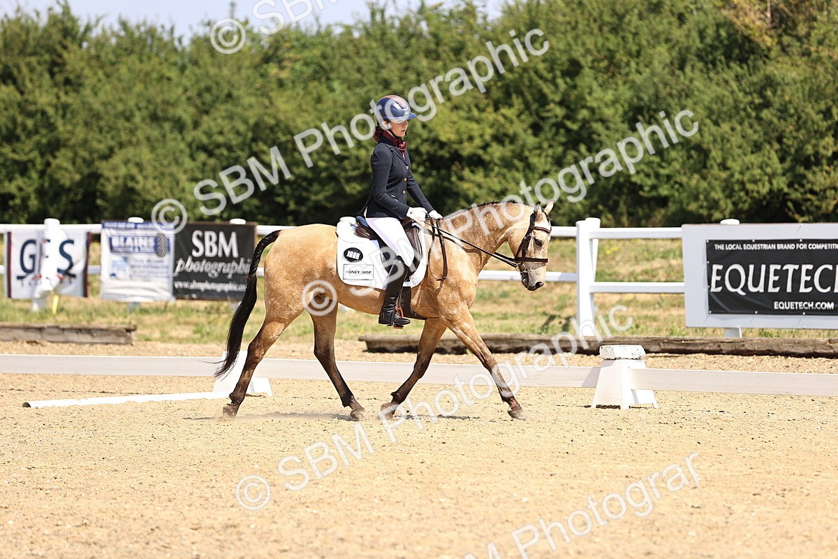 SBM_003584 - Intro 2