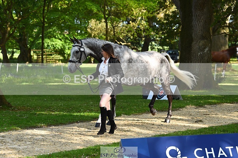 230524-170236-01249 - 130-CFH_DAKAR_HILL-Millie_Juleff-WEDTrotUp+DR