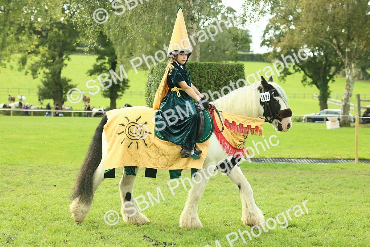 SBM_63491 - S35 - Fancy Dress Showing
