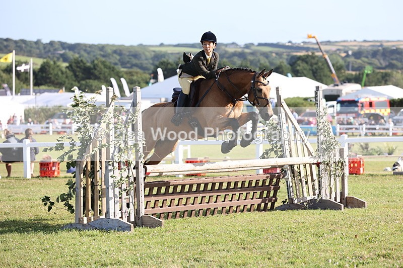 JPP_3193 - Class 21: Working Hunter 80cm