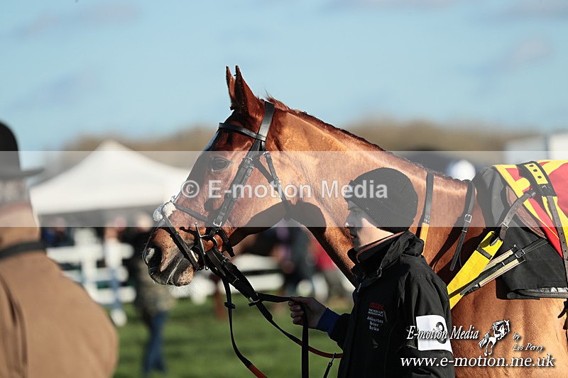 PtP 301125  0482 - Hursley Hambledon Point-to-Point Larkhill Racecourse 30/11/2025