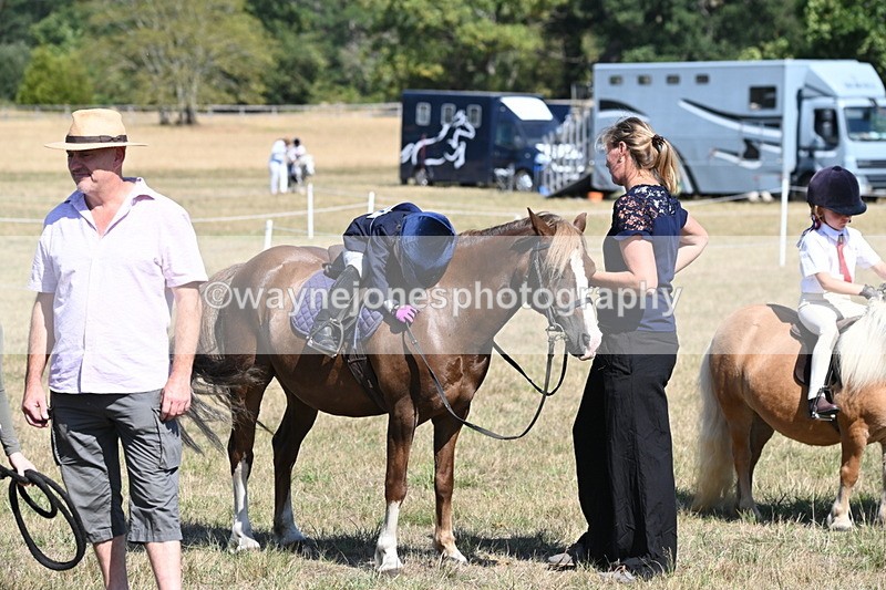WJ6_9354 - Class 40 Cheekiest Pony/Horse