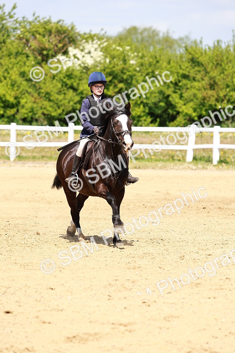 SBM_007762 - Class 3 - 60cm