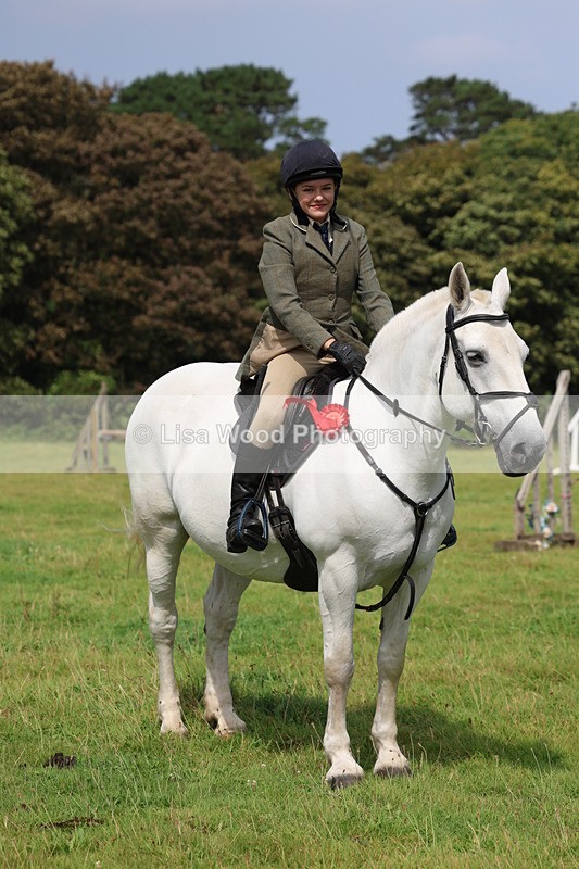 3E7A5918 - Class 26 and 27: 70cm Working Hunter