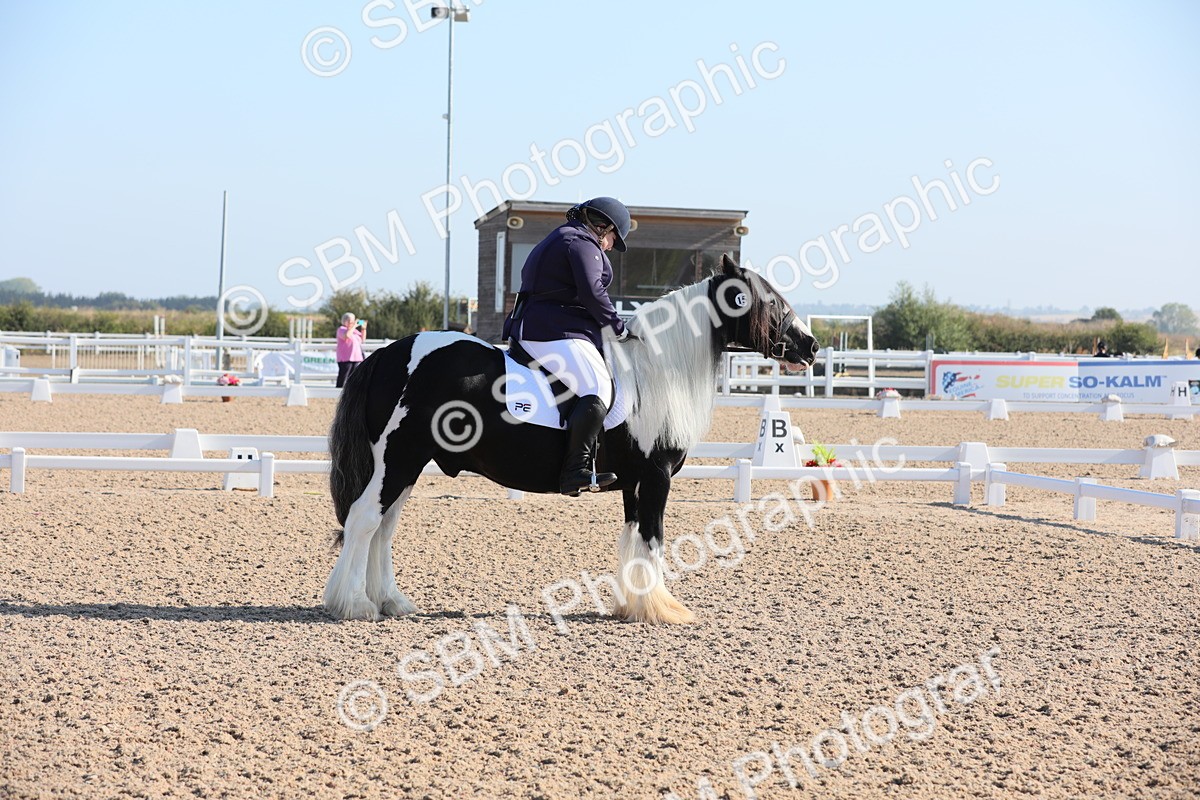 SBM_01010 - Class 30 Intro 1