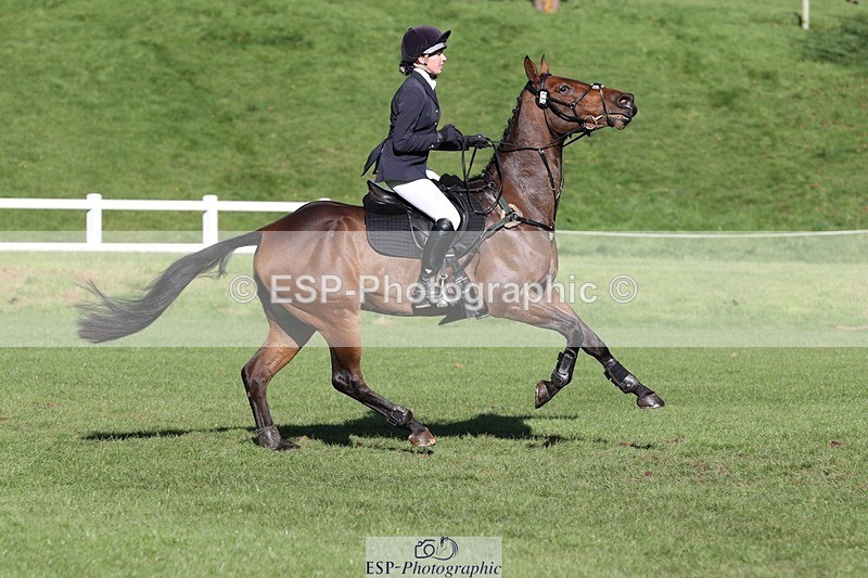 231022-111238-25031 - 617-MR.MISCHIEVOUS-Megan.Brown-TrotUp+SJ