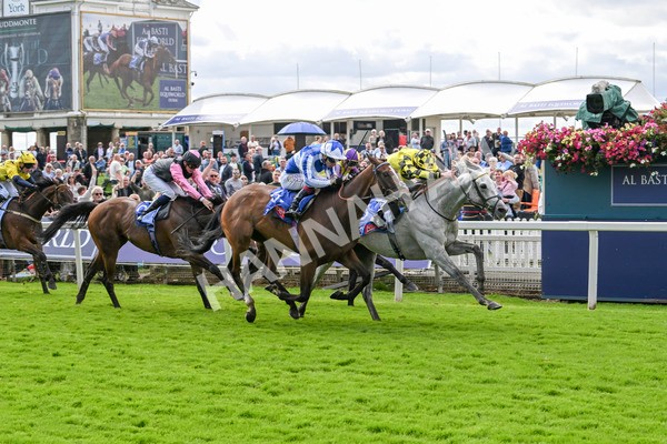 230824-Race 1-Shadow Dance-8722 - Race 1 1.50pm Sky Bet Handicap
