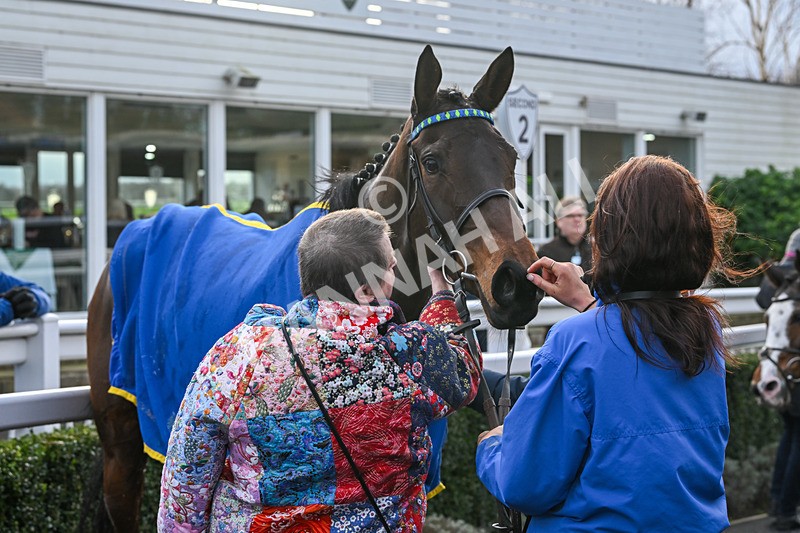 020224-Race 5-Shighness-8660 - Race 5