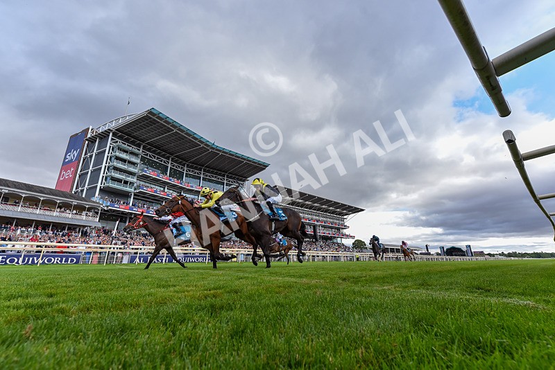 250726-Race 5-Rogue Jewel-4123 - Race 5 15.42pm Sky Bet Price Boosts EBF Fillies' Novice Stakes