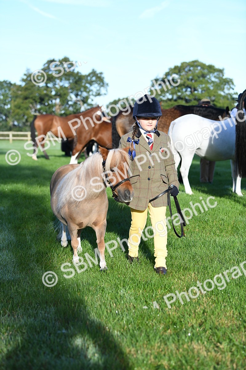 SBM_32752 - S15 - Condition & Turnout In Hand