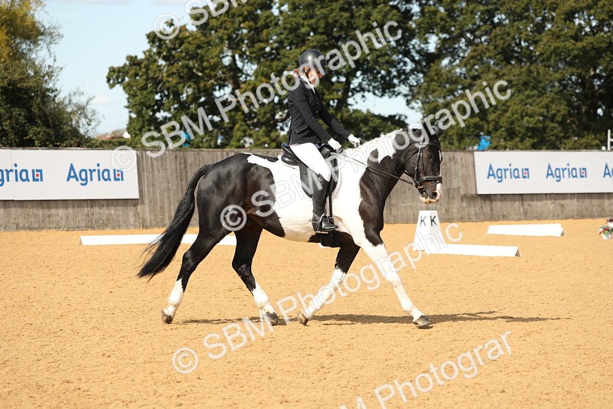 SBM_22177 - D17 - Grand Tour Championship - Novice 27