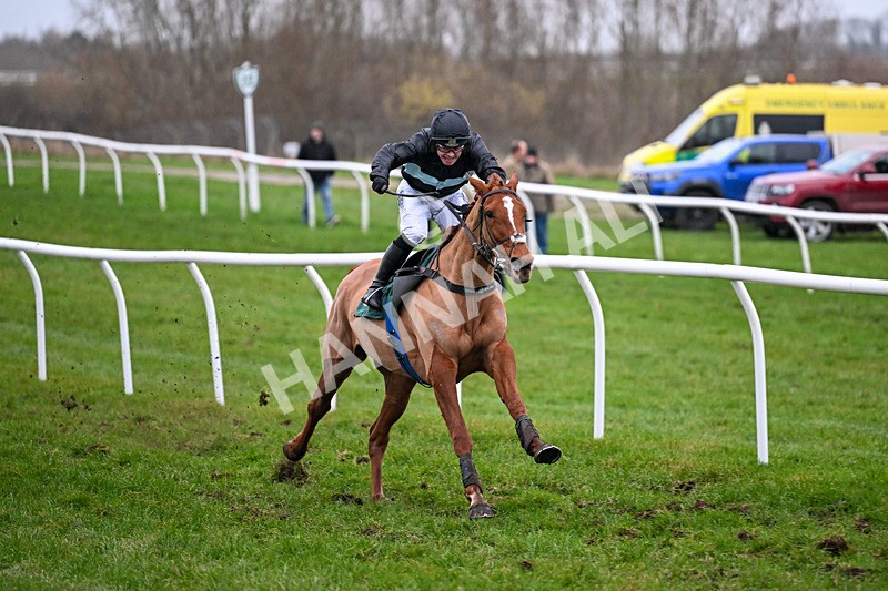 281225-Race 6-Soldierofthestorm-1392 - Race 6