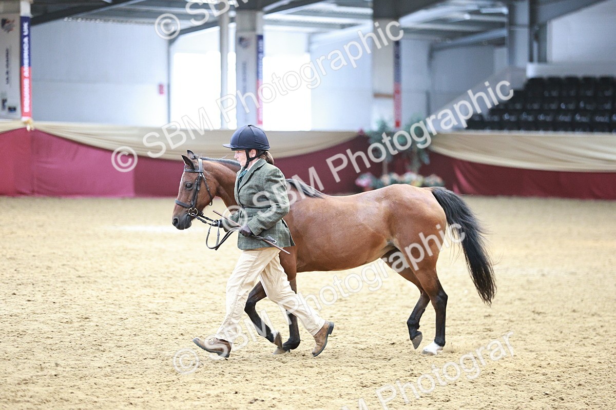 SBM_04849 - Class 7R - Regional IH Diamond