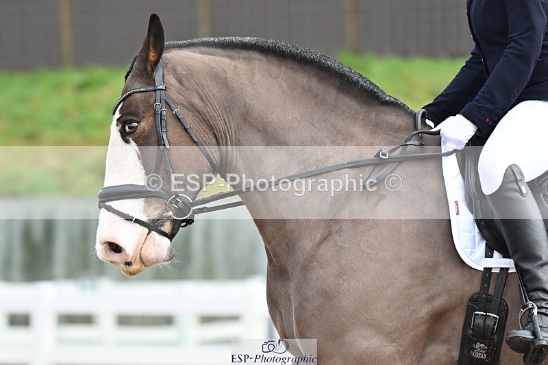 240218A-100155-04944 - 134-Abby.Hayes-Rathnagrew.Pride