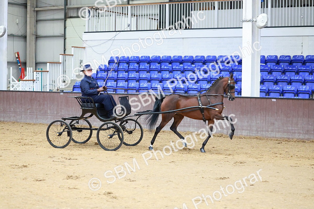 SBM_000620 - Class 9 - HHS Championship Intl Hackney Pony to a Showwagon