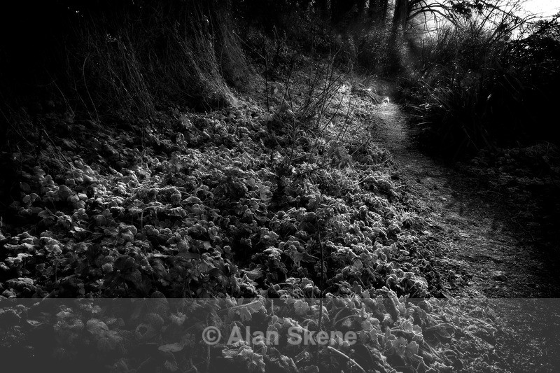 DSC02318 - Gloucestershire