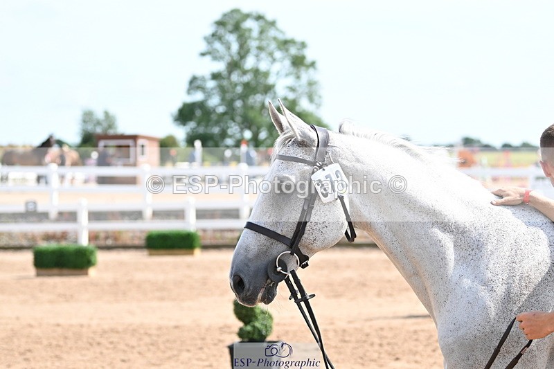 240717A-155133-03115 - Trot Up 3pm to 4pm