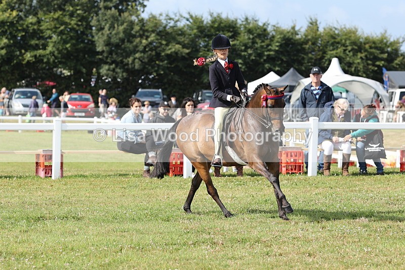 JPP_0735 - Class 16: Cornish Combination Young Rider