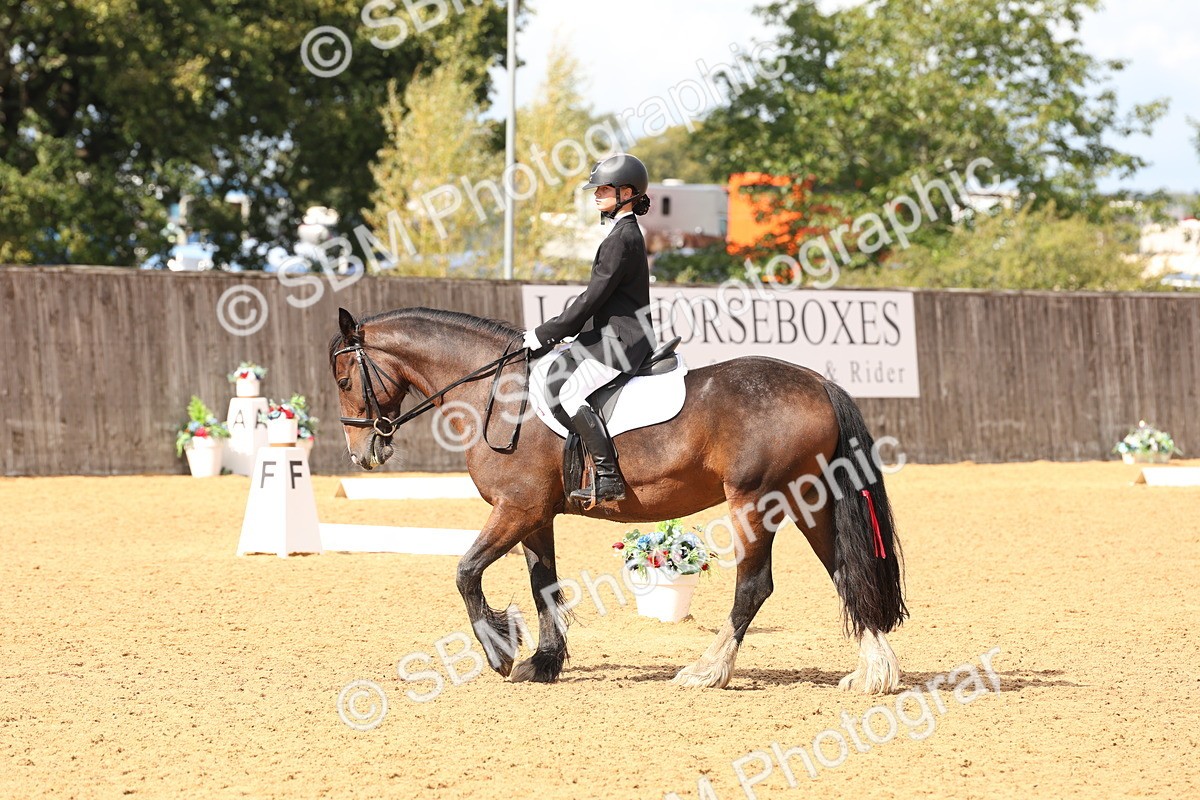 SBM_44199 - D6 - Small Tour Championship Intro 4