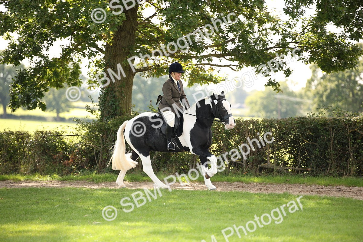 SBM_49977 - S26 - Young Veteran - Ridden