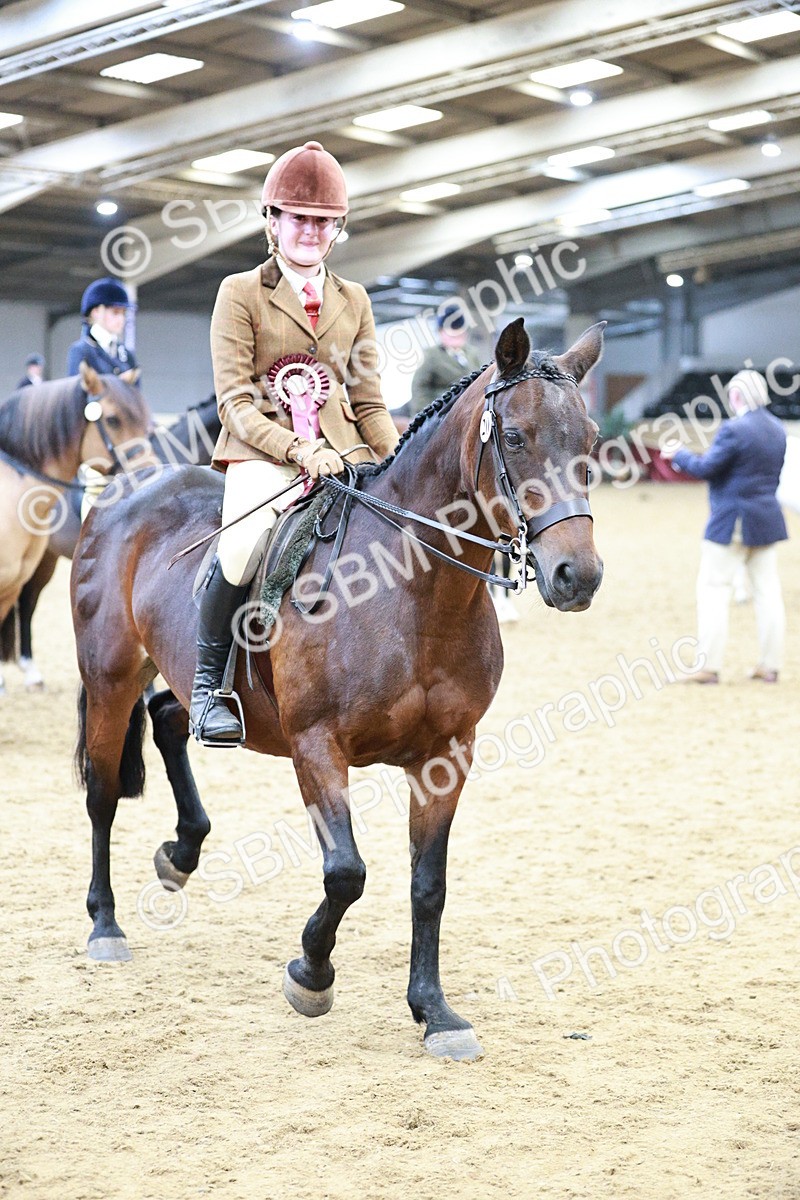 SBM_08343 - Class 11R - Regional Ridden Veteran