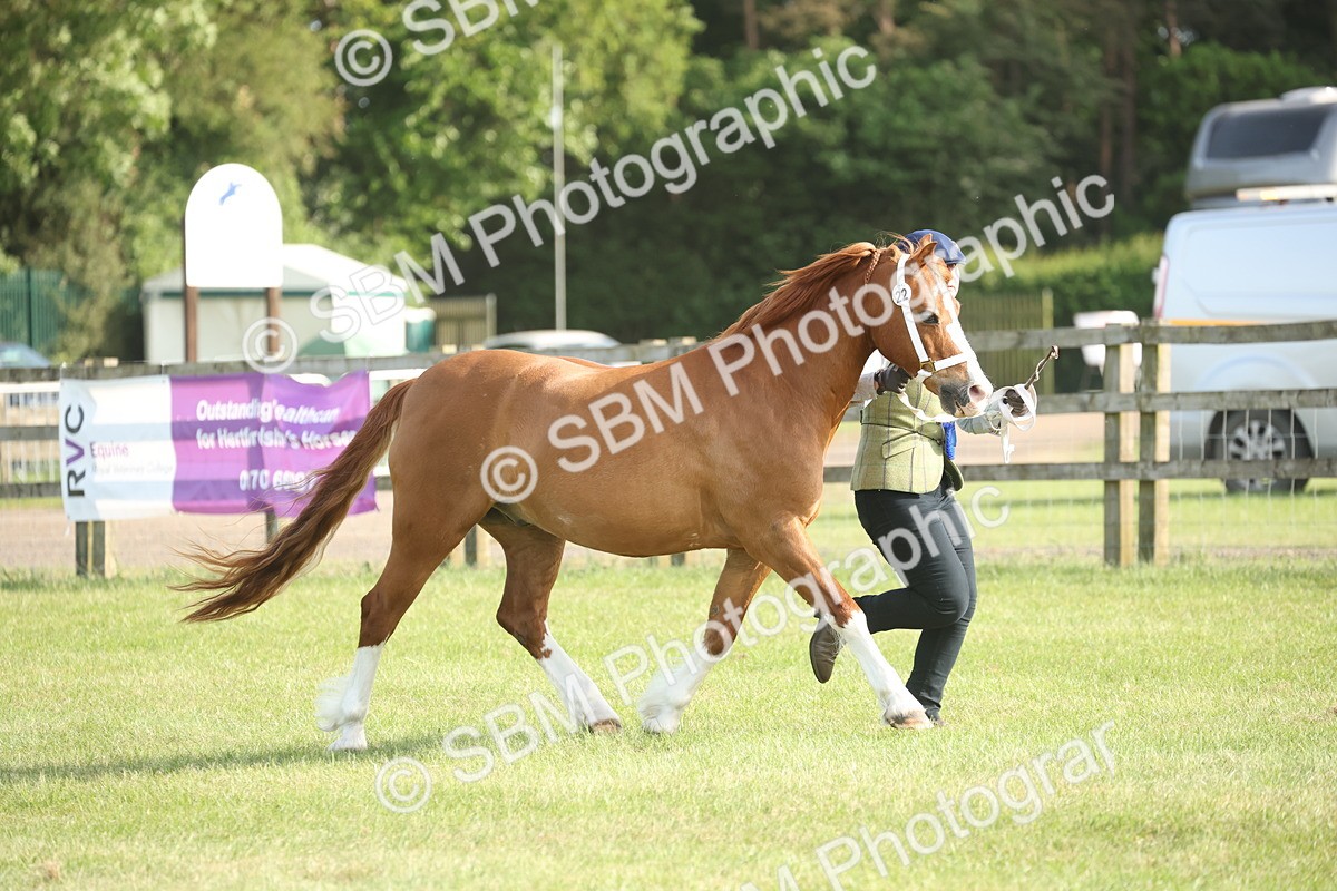 SBM_10525 - Class 33-38 - SSADL RIHS Qualifiers
